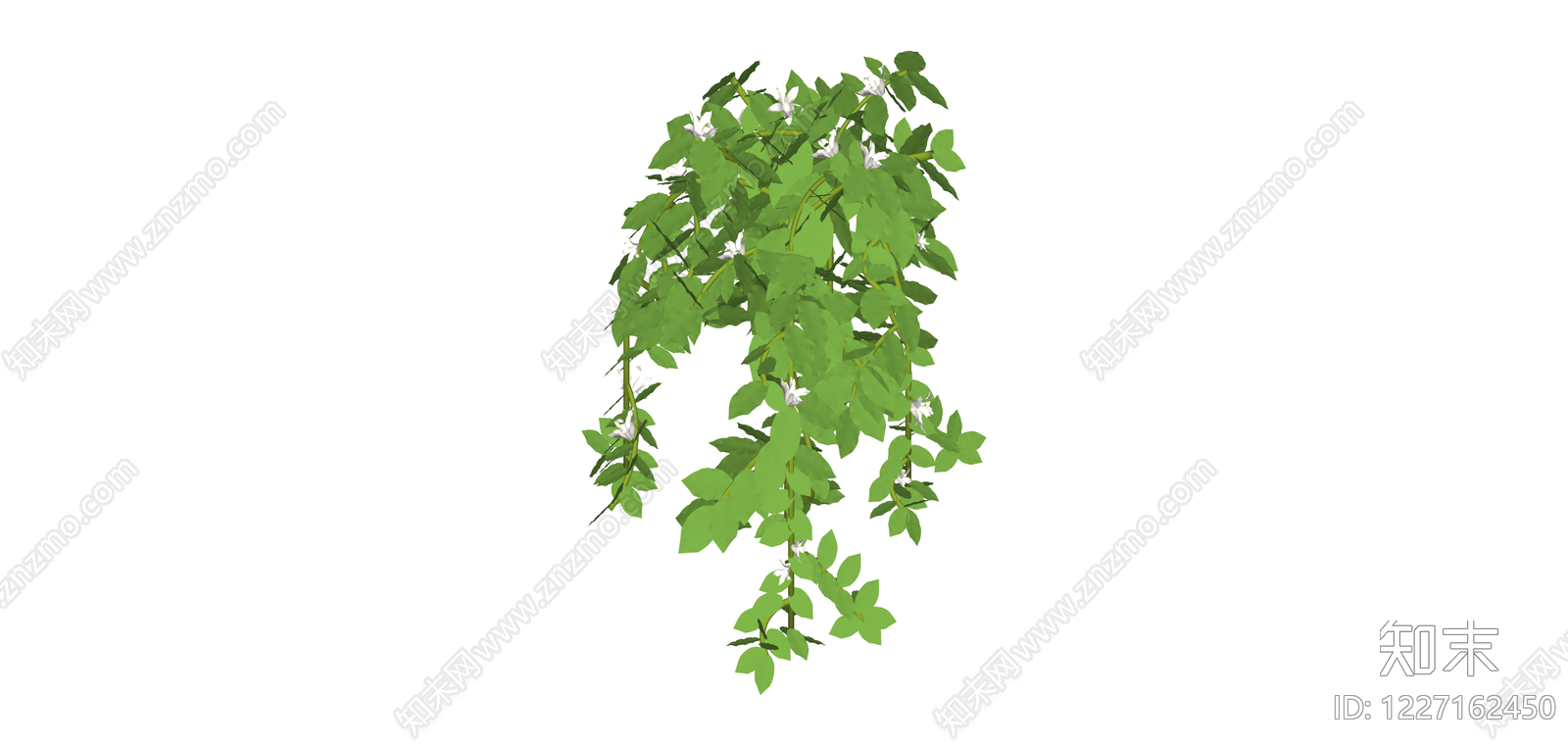 垂吊绿植盆栽SU模型下载【ID:1227162450】