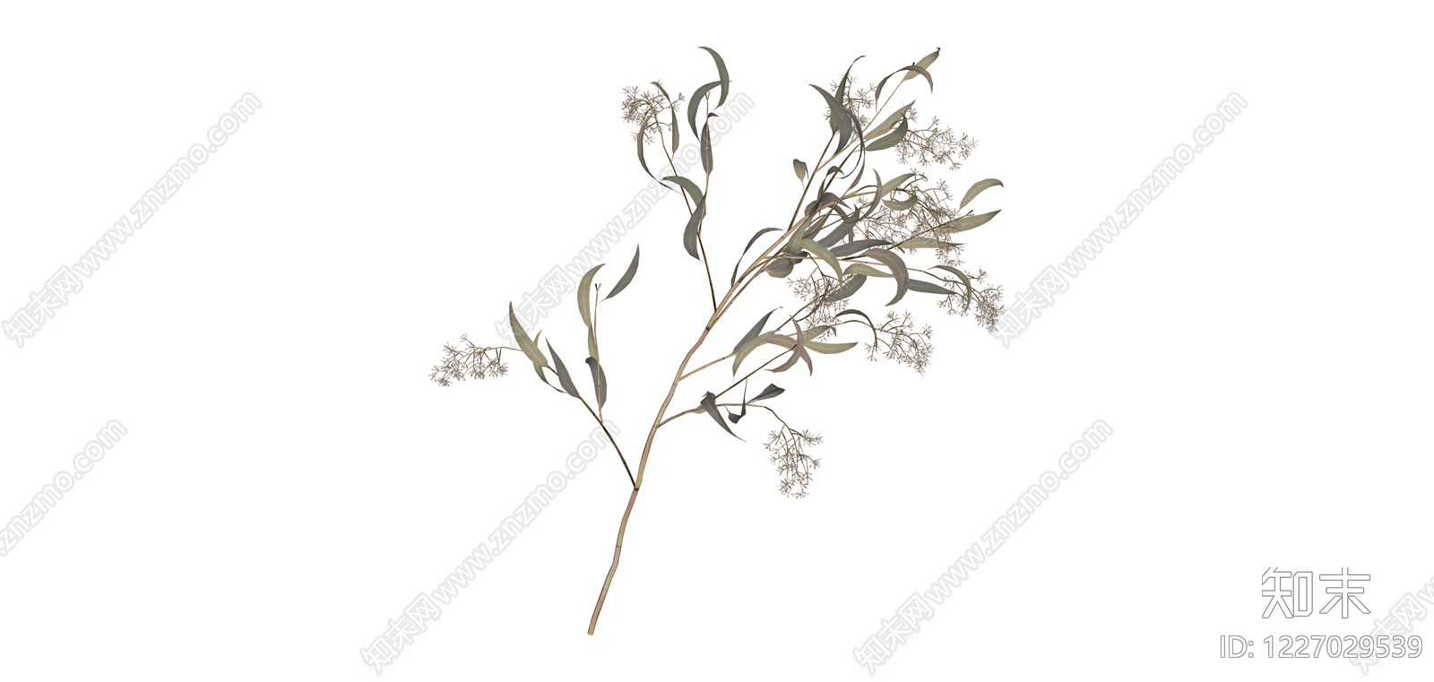 仿真尤加利叶植物SU模型下载【ID:1227029539】