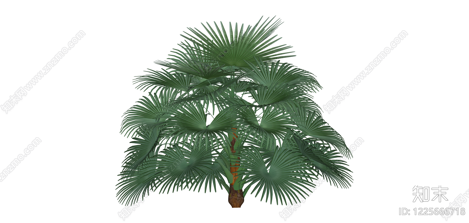 丛生棕榈植物SU模型下载【ID:1225666718】