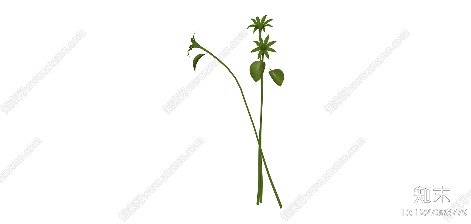 仿真绿植枝条组件SU模型下载【ID:1227088779】