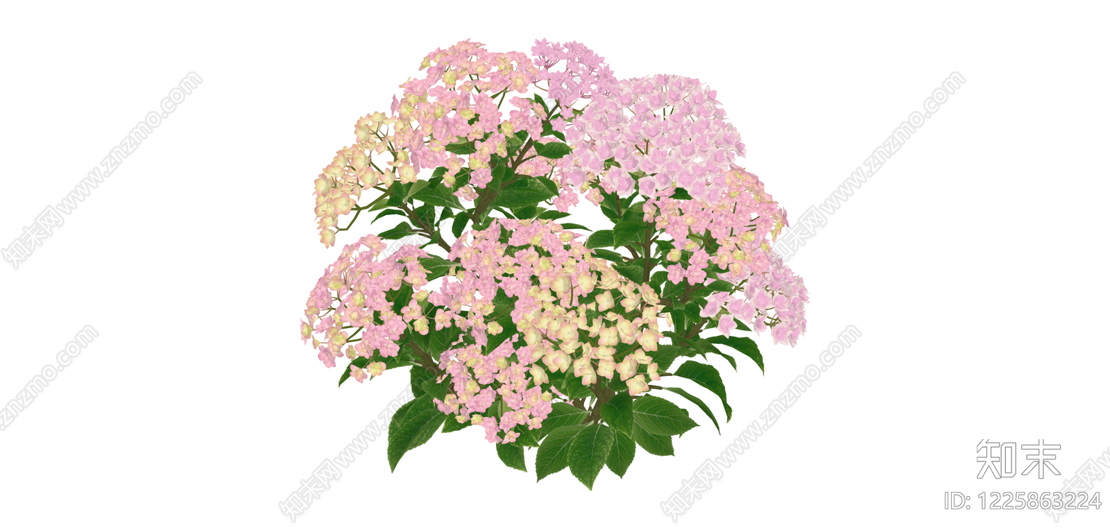 粉色绣球花灌木SU模型下载【ID:1225863224】