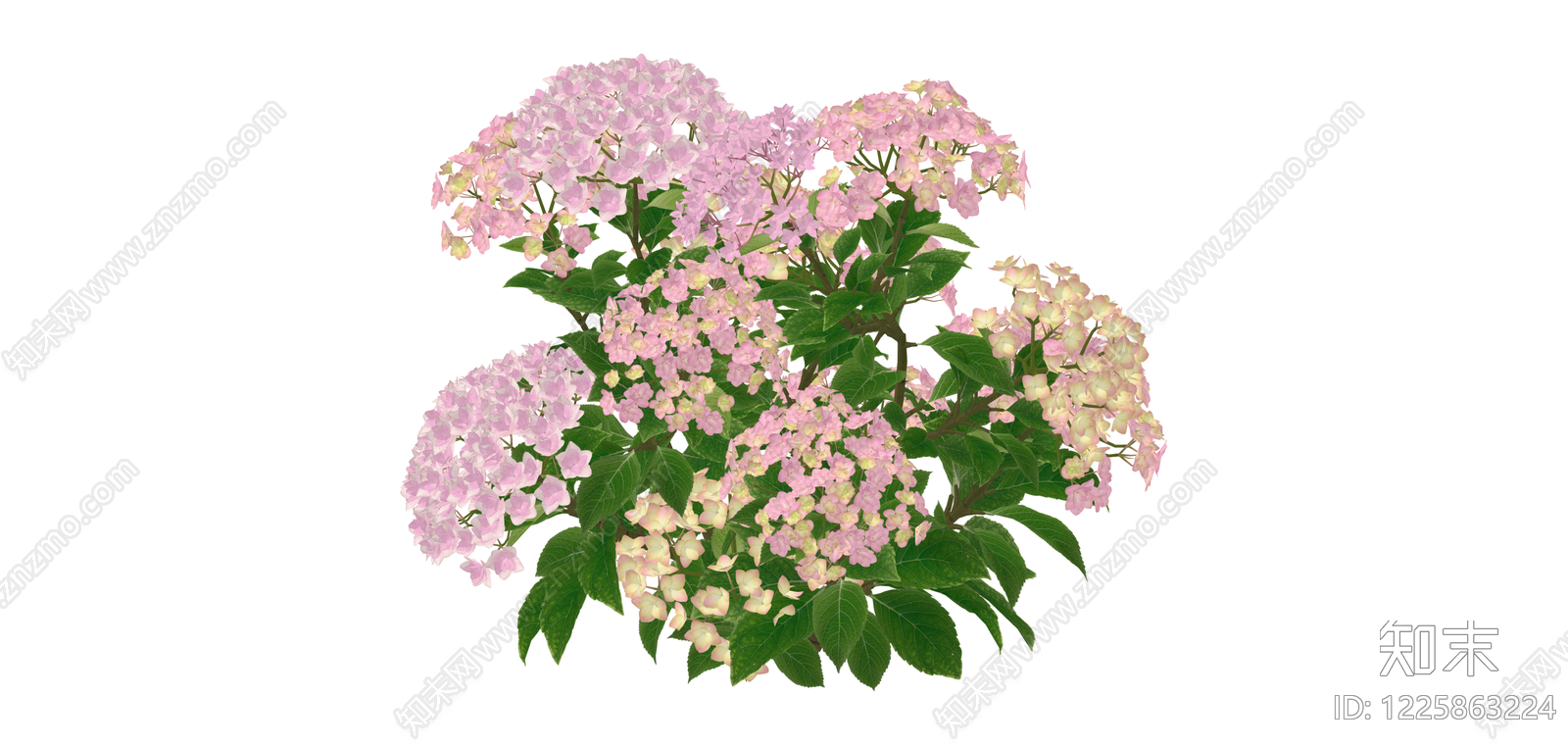 粉色绣球花灌木SU模型下载【ID:1225863224】