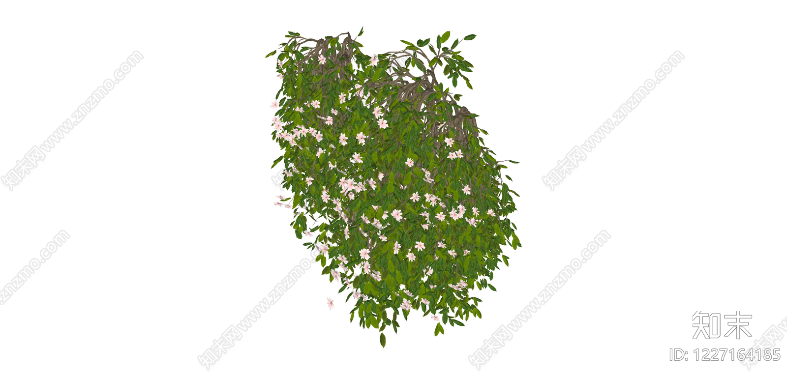 垂枝开花树木模型SU模型下载【ID:1227164185】