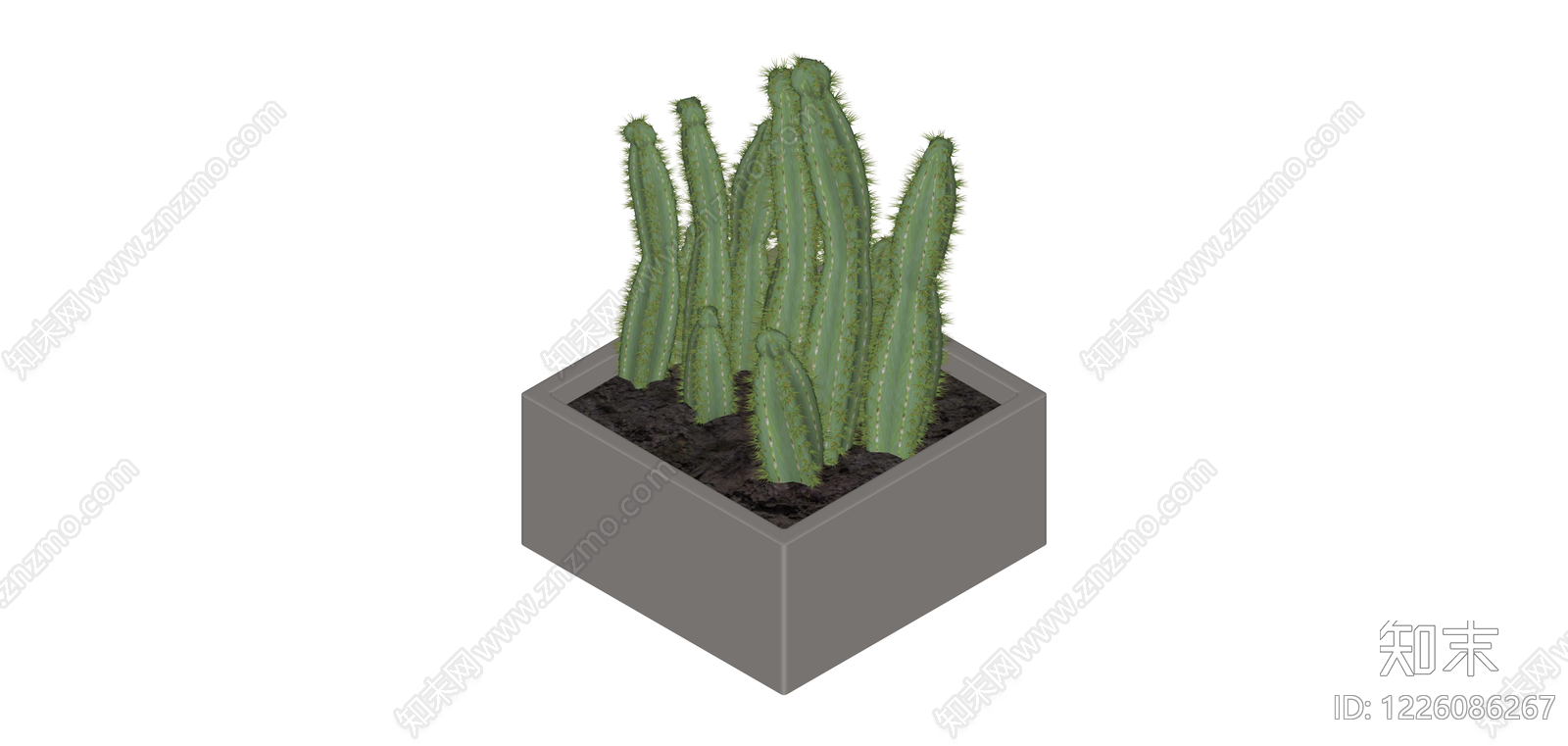 盆栽仙人掌植物SU模型下载【ID:1226086267】