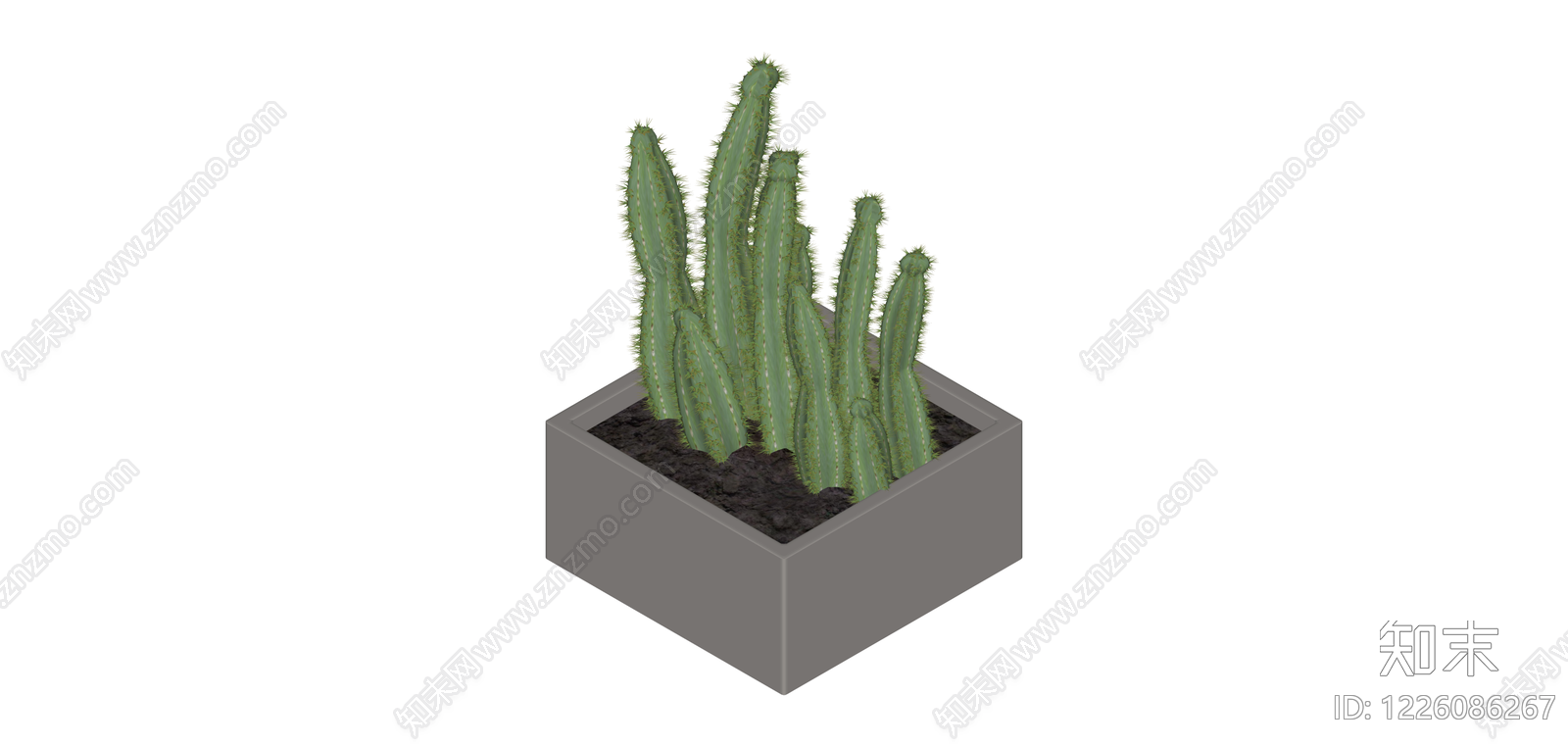 盆栽仙人掌植物SU模型下载【ID:1226086267】