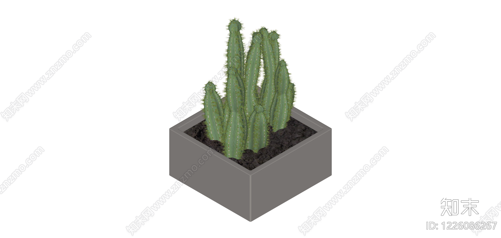 盆栽仙人掌植物SU模型下载【ID:1226086267】