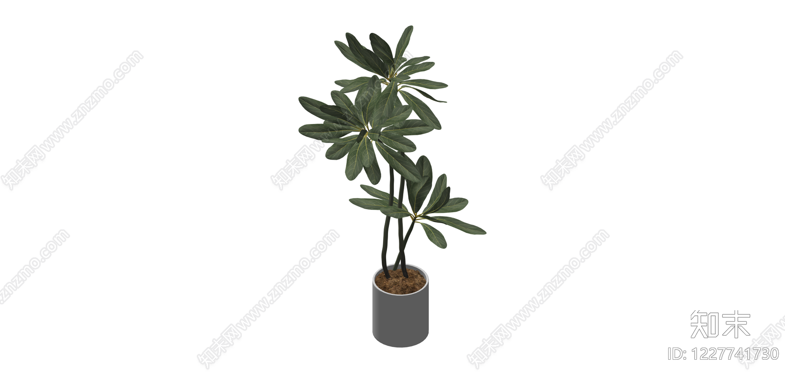 盆栽绿植模型SU模型下载【ID:1227741730】