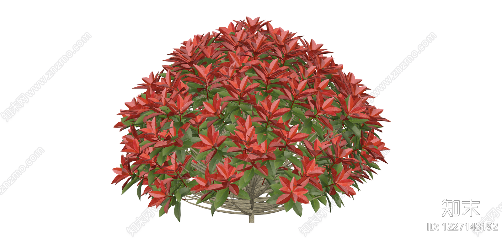 红叶灌木绿植球SU模型下载【ID:1227143192】