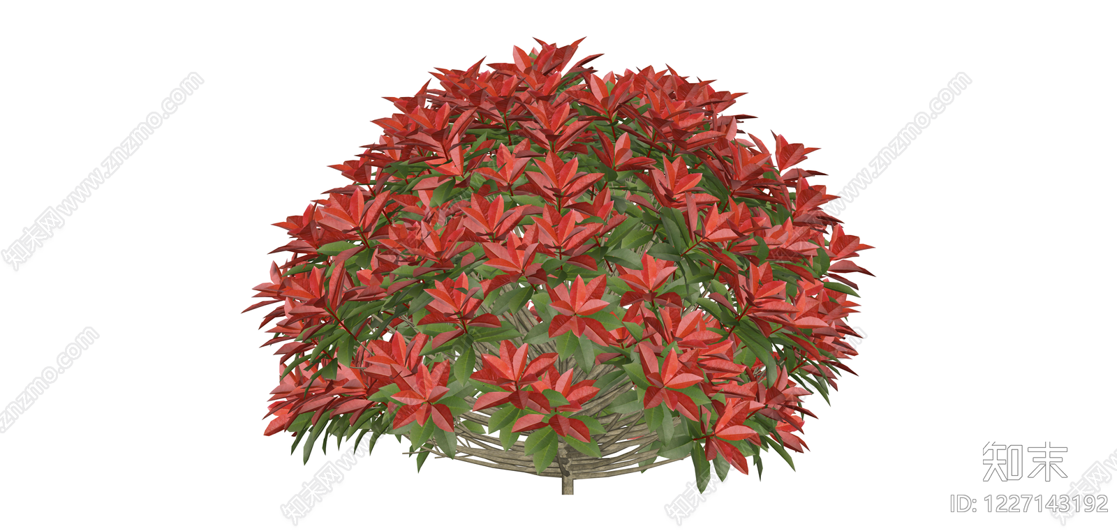 红叶灌木绿植球SU模型下载【ID:1227143192】