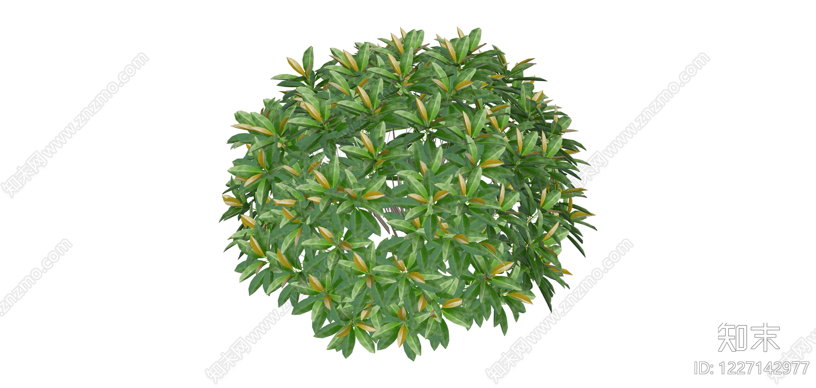 带盆绿植灌木模型SU模型下载【ID:1227142977】