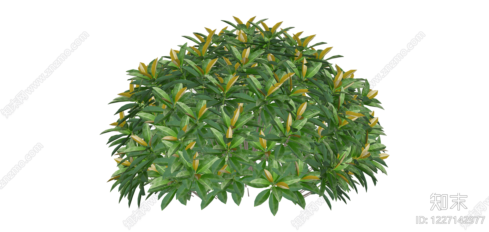 带盆绿植灌木模型SU模型下载【ID:1227142977】