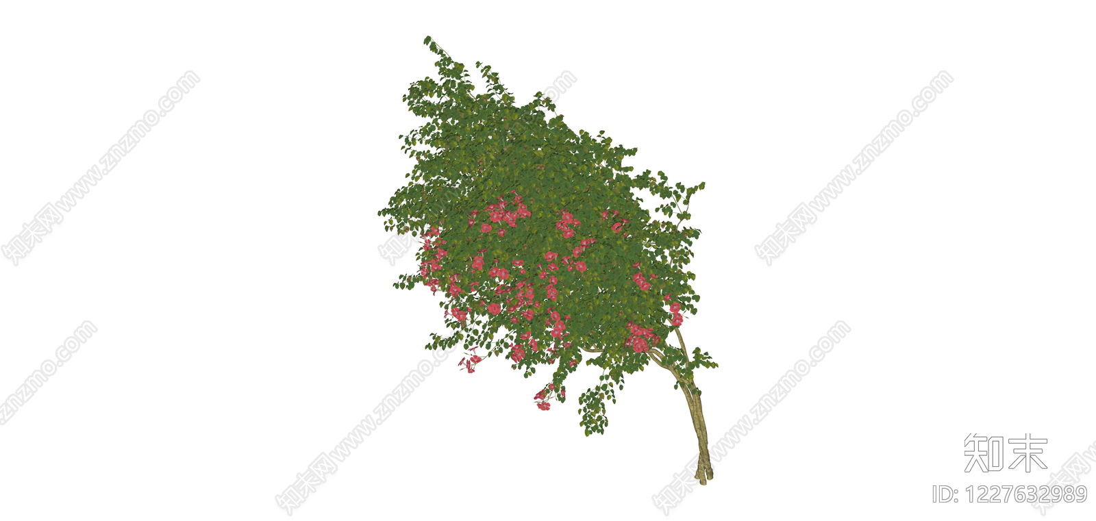 粉色开花乔木SU模型下载【ID:1227632989】