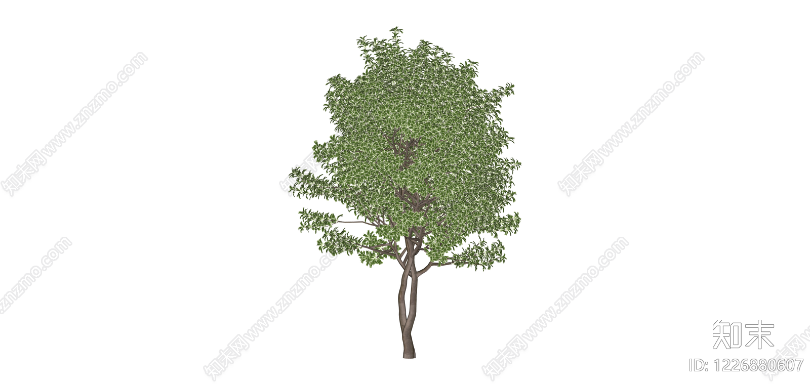 完整景观乔木模型SU模型下载【ID:1226880607】