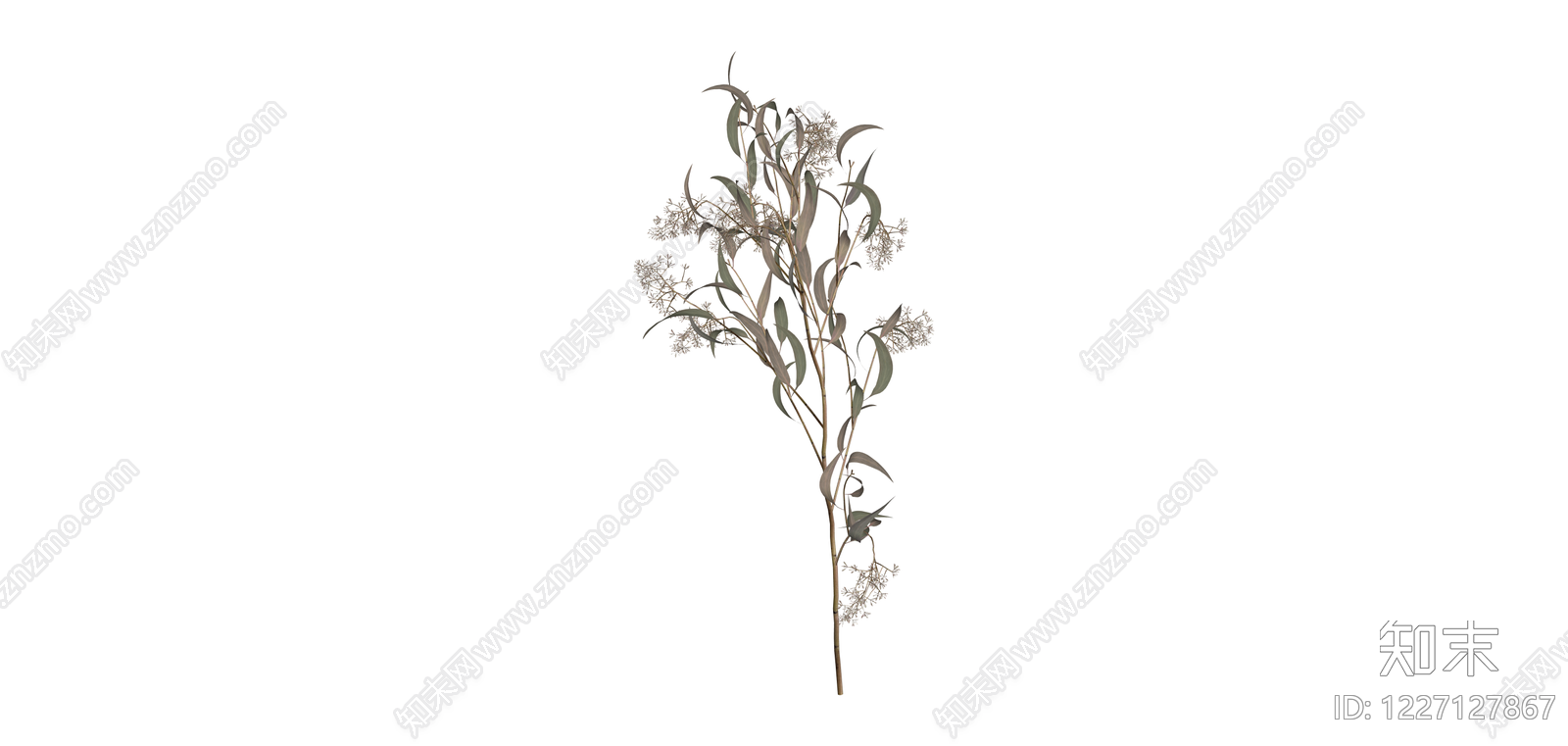 尤加利叶花艺枝条SU模型下载【ID:1227127867】