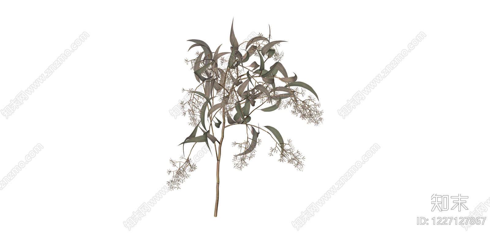 尤加利叶花艺枝条SU模型下载【ID:1227127867】