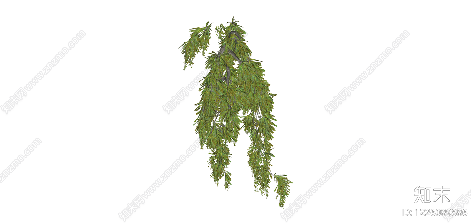 垂枝植物模型SU模型下载【ID:1226089886】