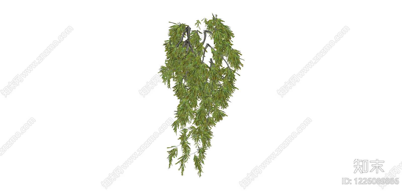 垂枝植物模型SU模型下载【ID:1226089886】
