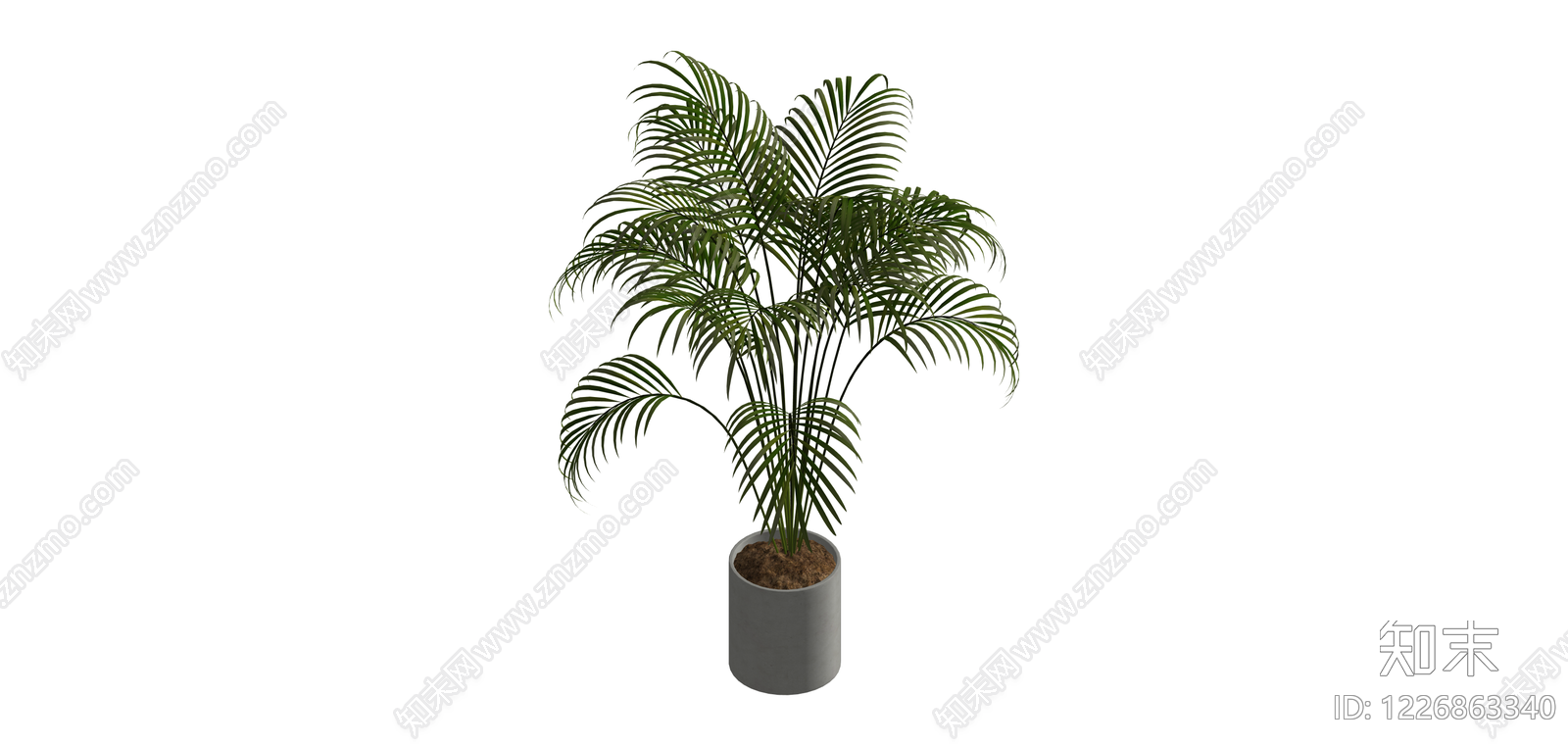 带盆散尾葵盆栽SU模型下载【ID:1226863340】