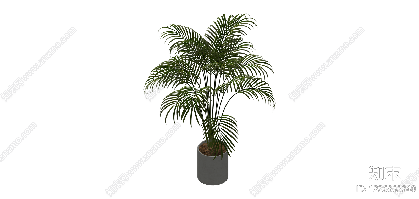 带盆散尾葵盆栽SU模型下载【ID:1226863340】