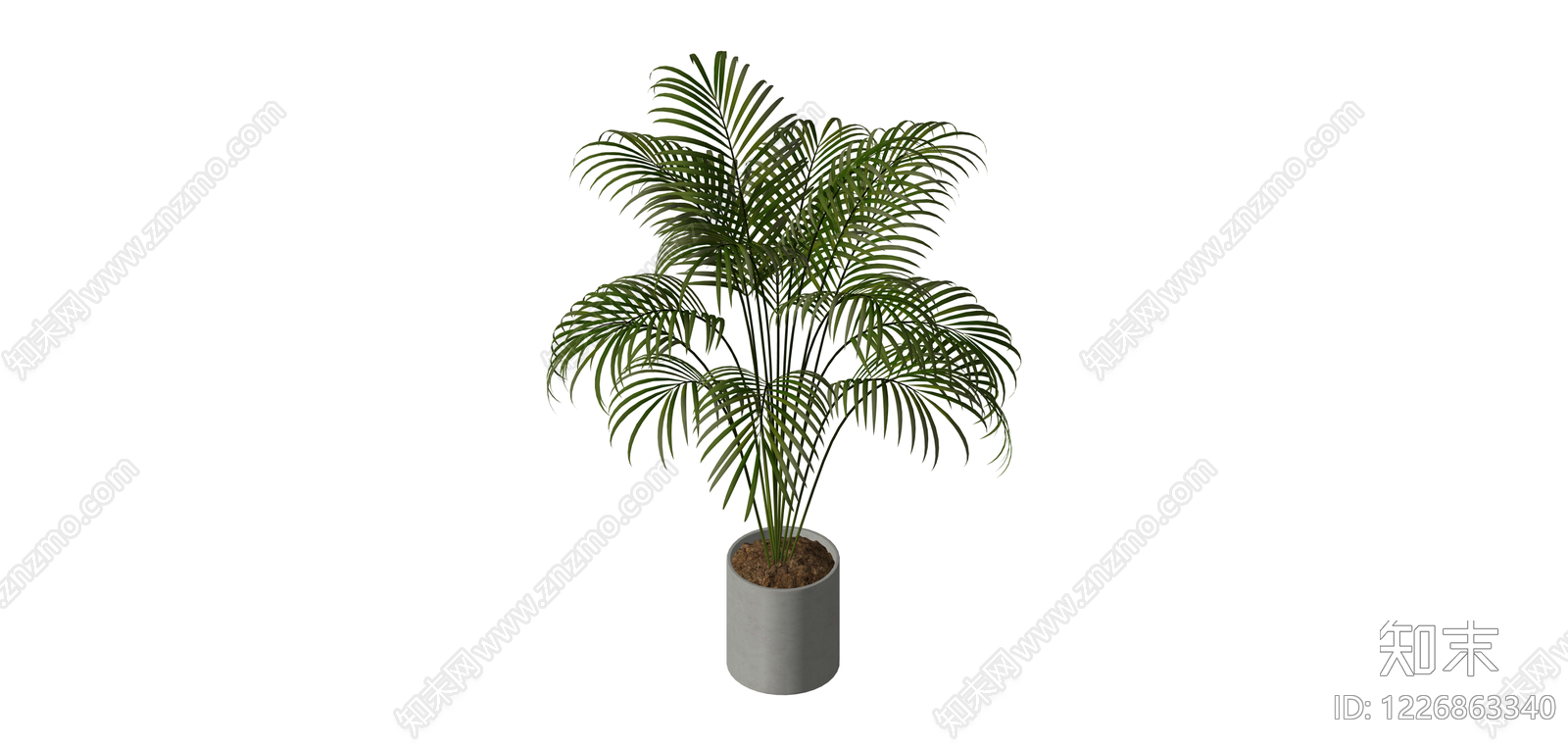 带盆散尾葵盆栽SU模型下载【ID:1226863340】