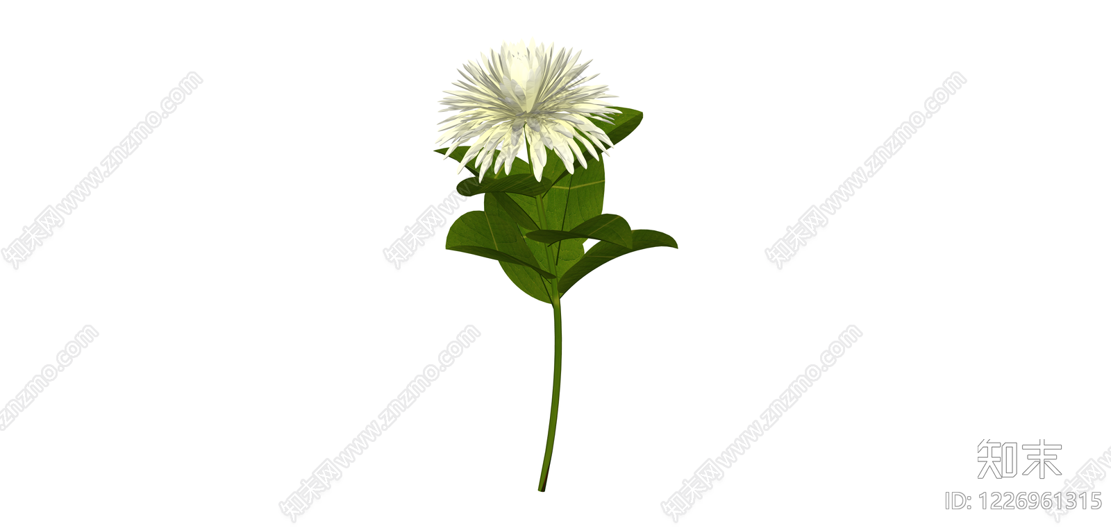 白色花卉植物模型SU模型下载【ID:1226961315】