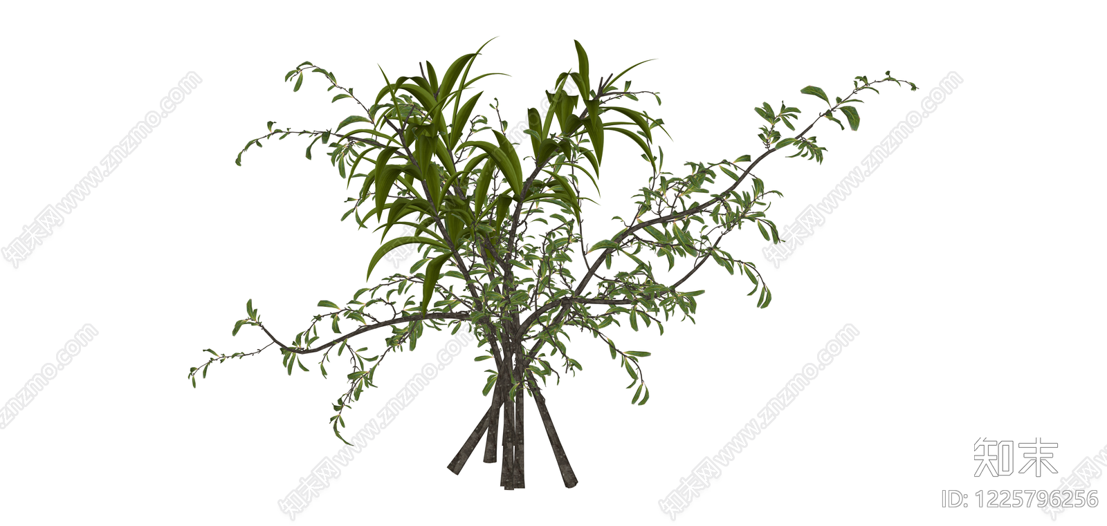 丛生景观灌木绿植SU模型下载【ID:1225796256】