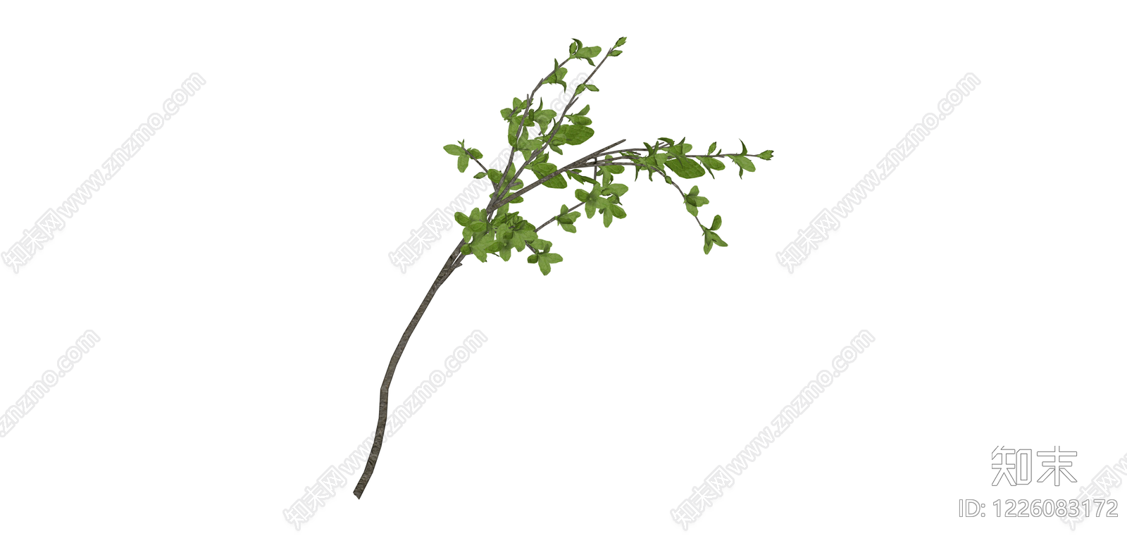带叶景观树枝SU模型下载【ID:1226083172】