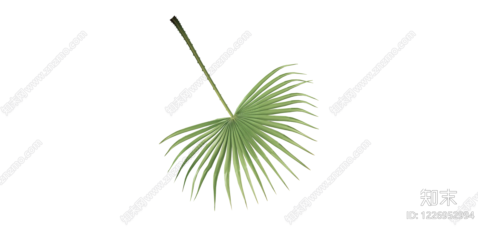 绿色棕榈叶植物SU模型下载【ID:1226952994】
