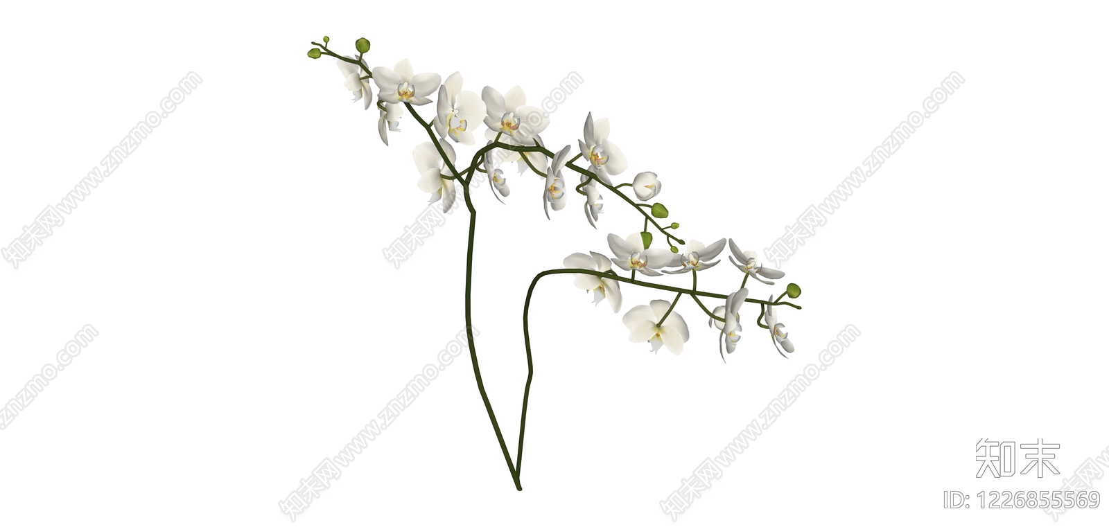 白色蝴蝶兰仿真花艺SU模型下载【ID:1226855569】