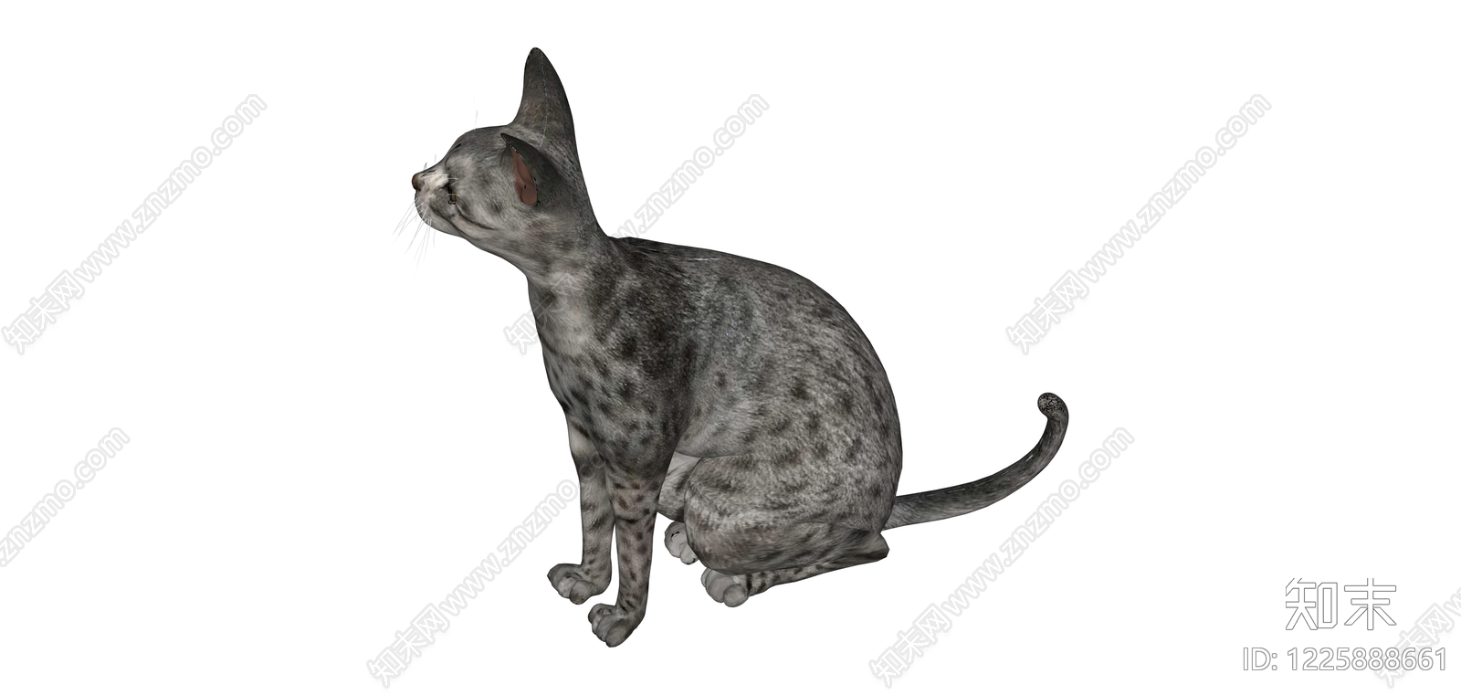 银灰色斑点猫模型SU模型下载【ID:1225888661】
