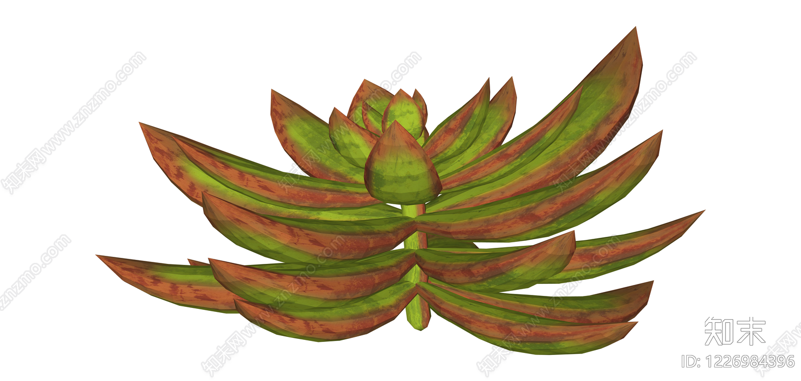 多肉植物盆栽模型SU模型下载【ID:1226984396】