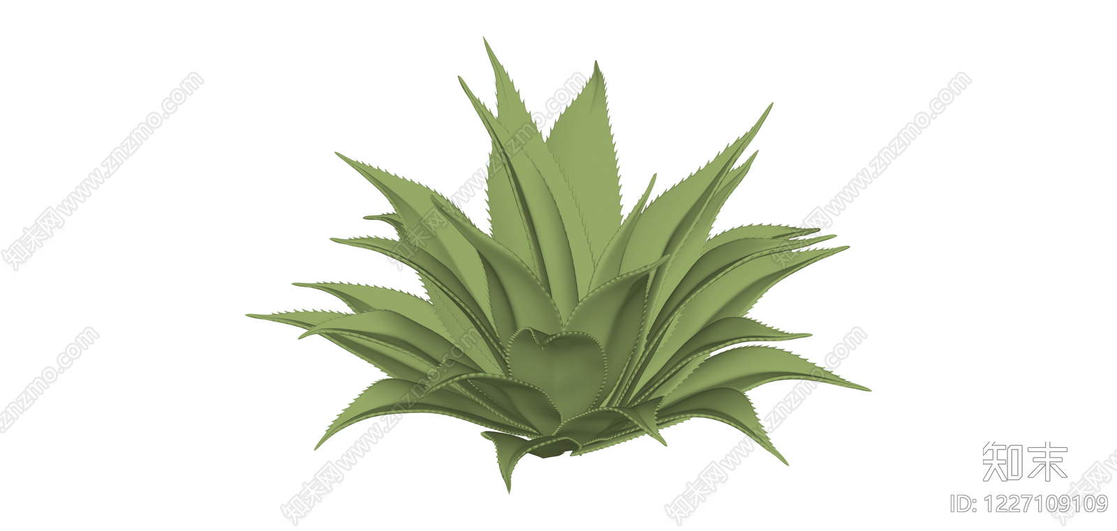 绿色多肉植物模型SU模型下载【ID:1227109109】