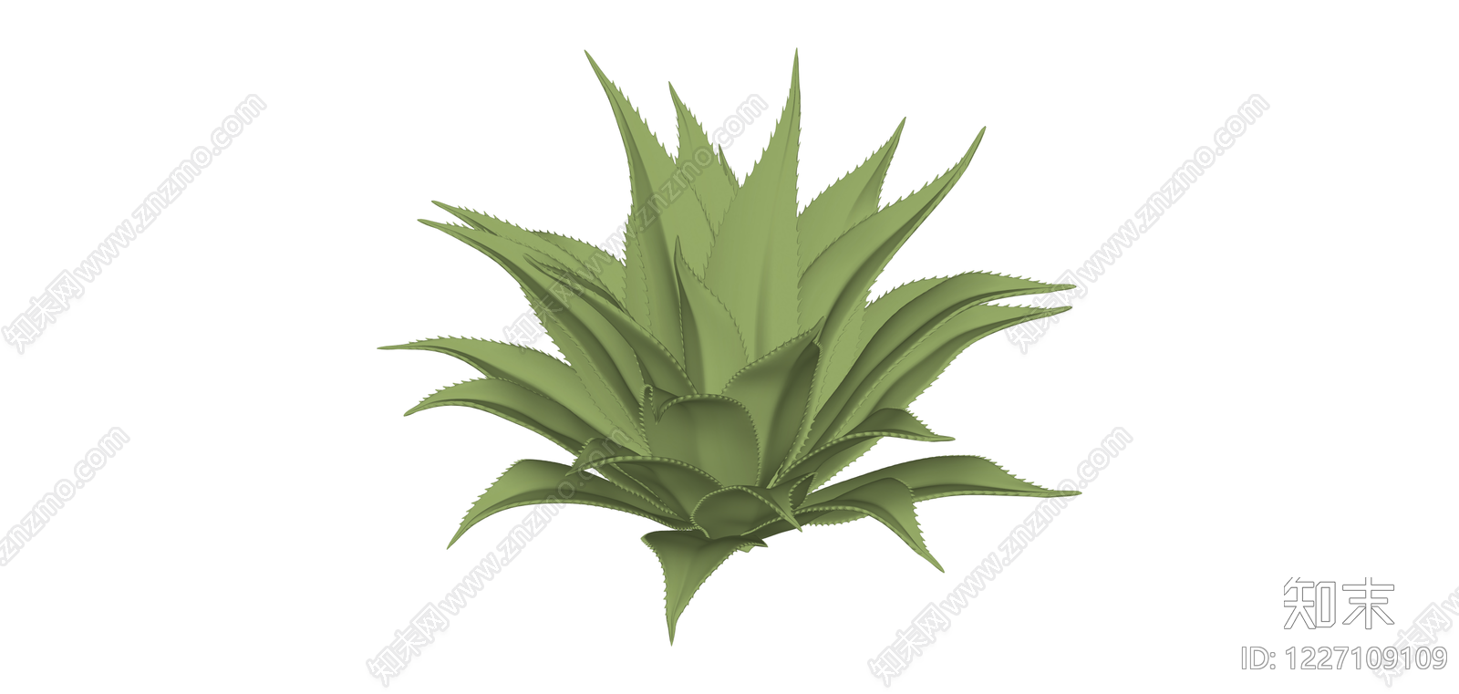 绿色多肉植物模型SU模型下载【ID:1227109109】