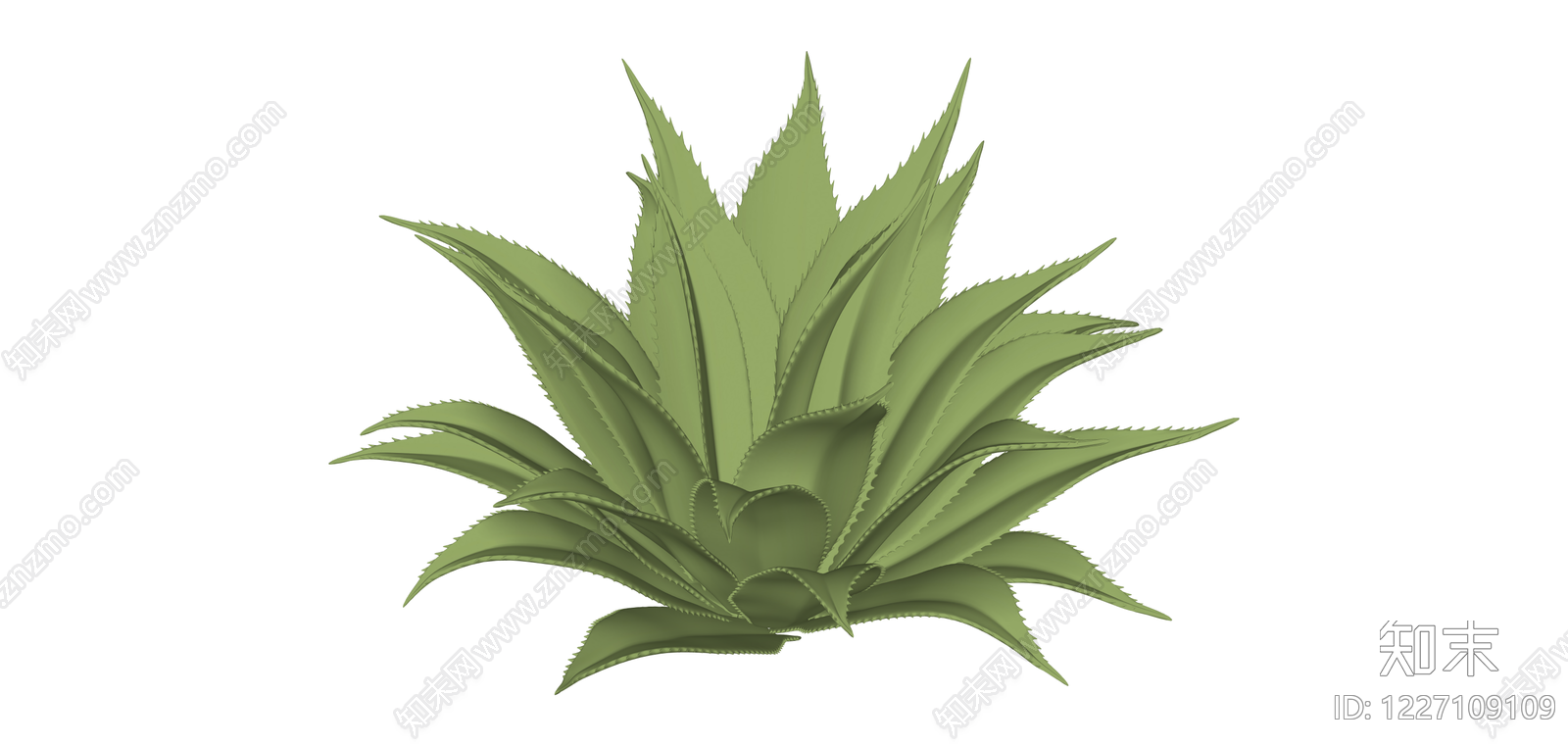 绿色多肉植物模型SU模型下载【ID:1227109109】
