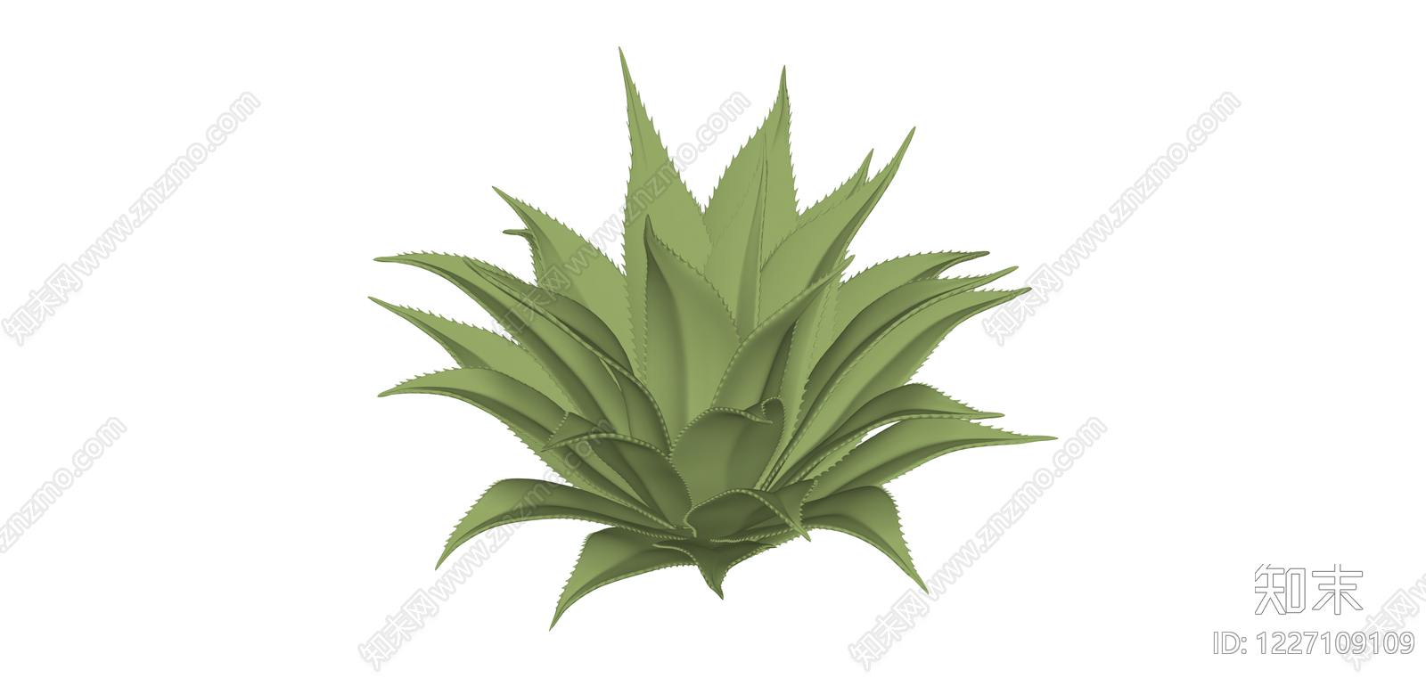 绿色多肉植物模型SU模型下载【ID:1227109109】