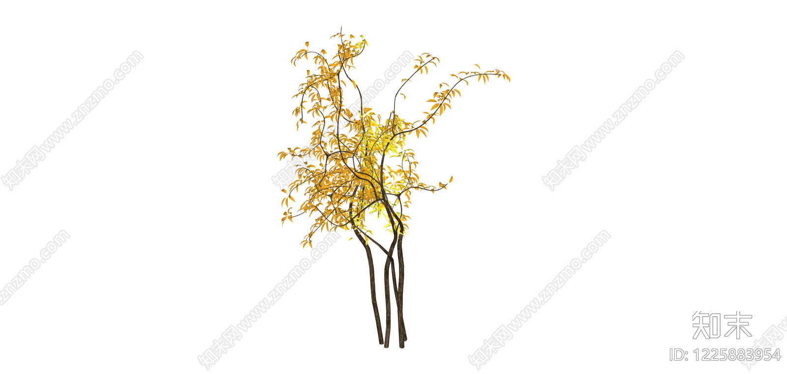 黄叶景观树木SU模型下载【ID:1225883954】