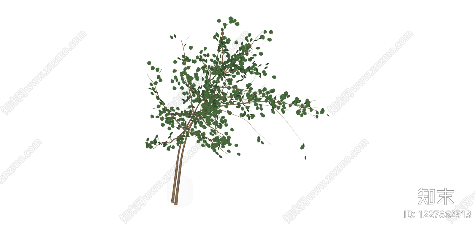 独立仿真树木模型SU模型下载【ID:1227862513】