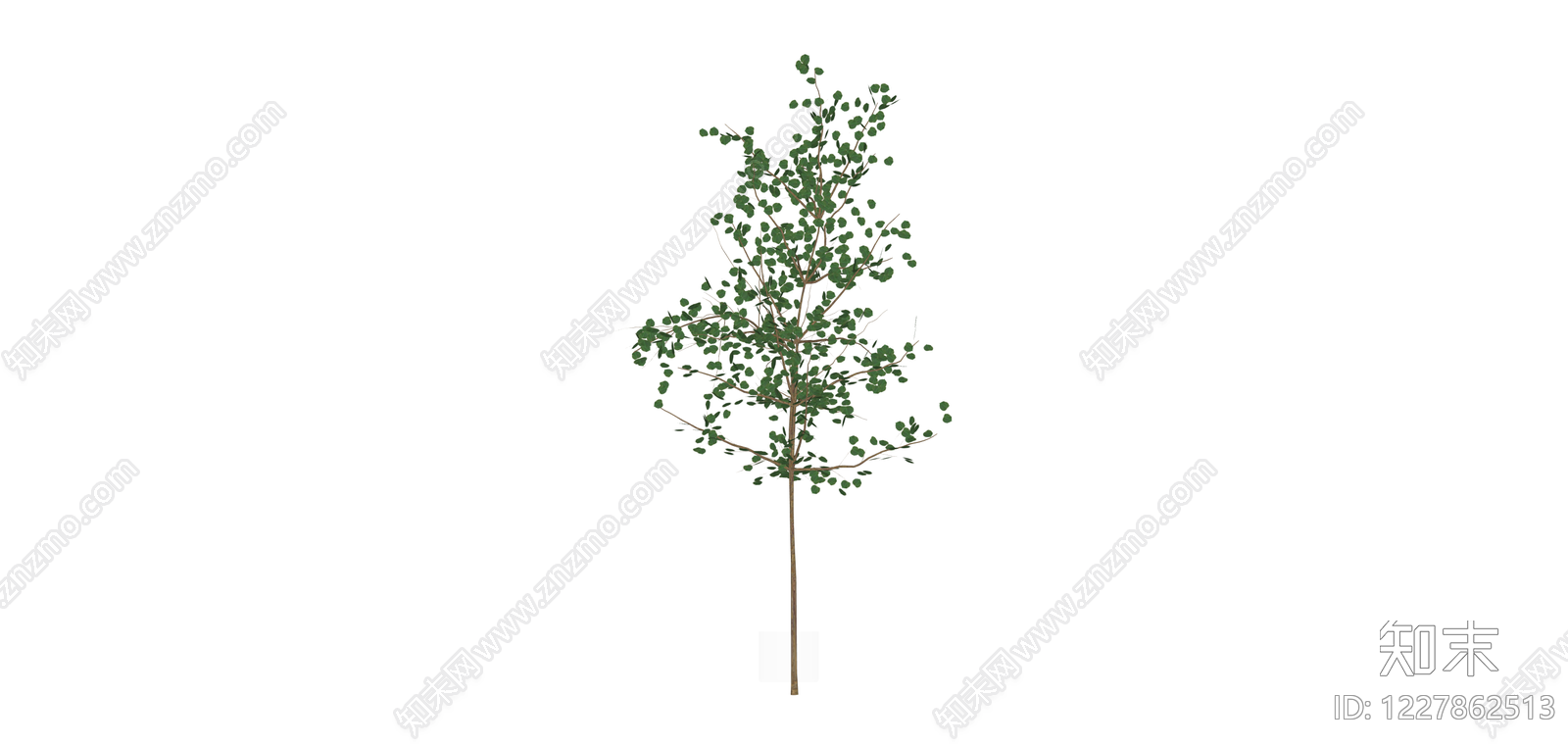 独立仿真树木模型SU模型下载【ID:1227862513】
