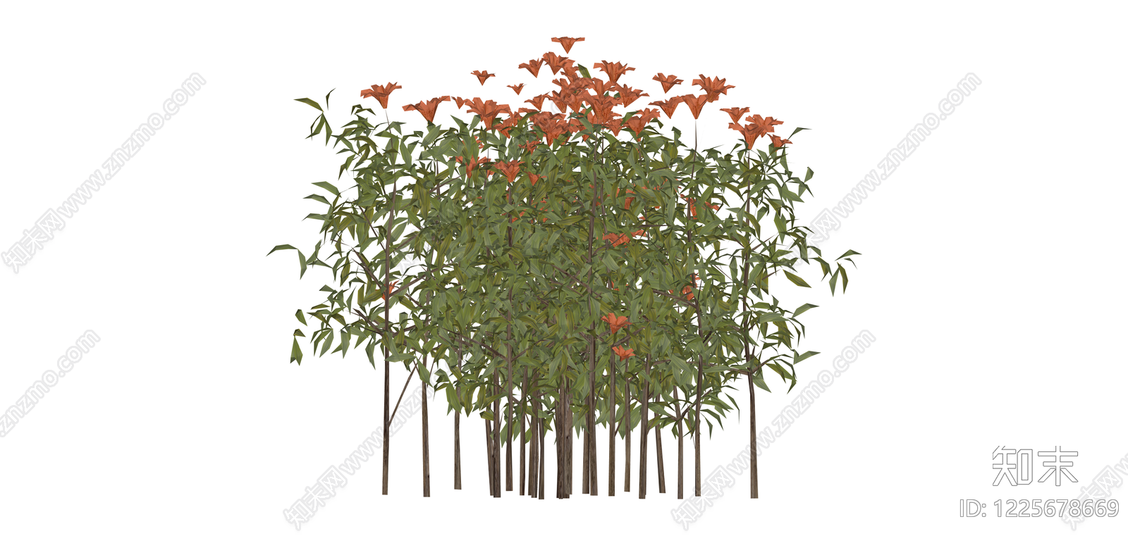 成丛开花植物组合SU模型下载【ID:1225678669】