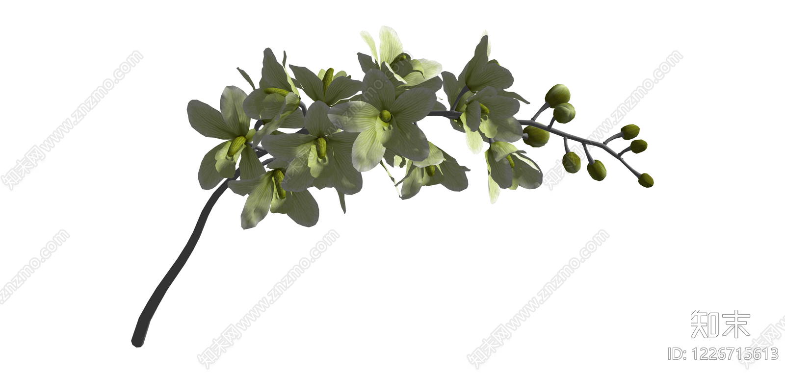 浅绿花艺植物枝条SU模型下载【ID:1226715613】