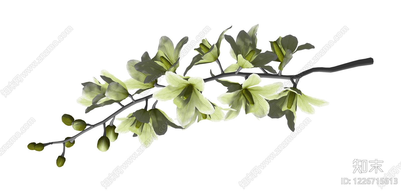 浅绿花艺植物枝条SU模型下载【ID:1226715613】