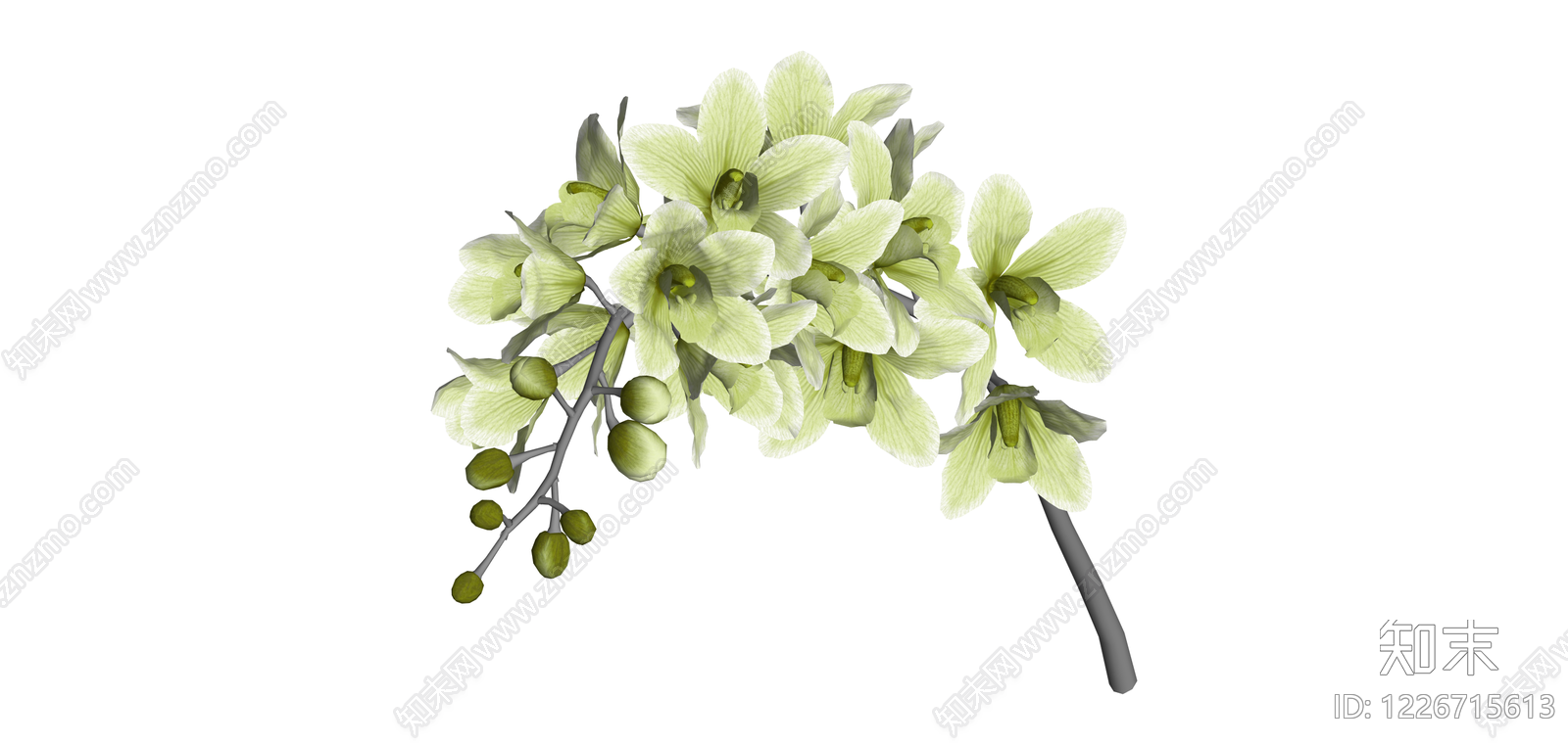 浅绿花艺植物枝条SU模型下载【ID:1226715613】