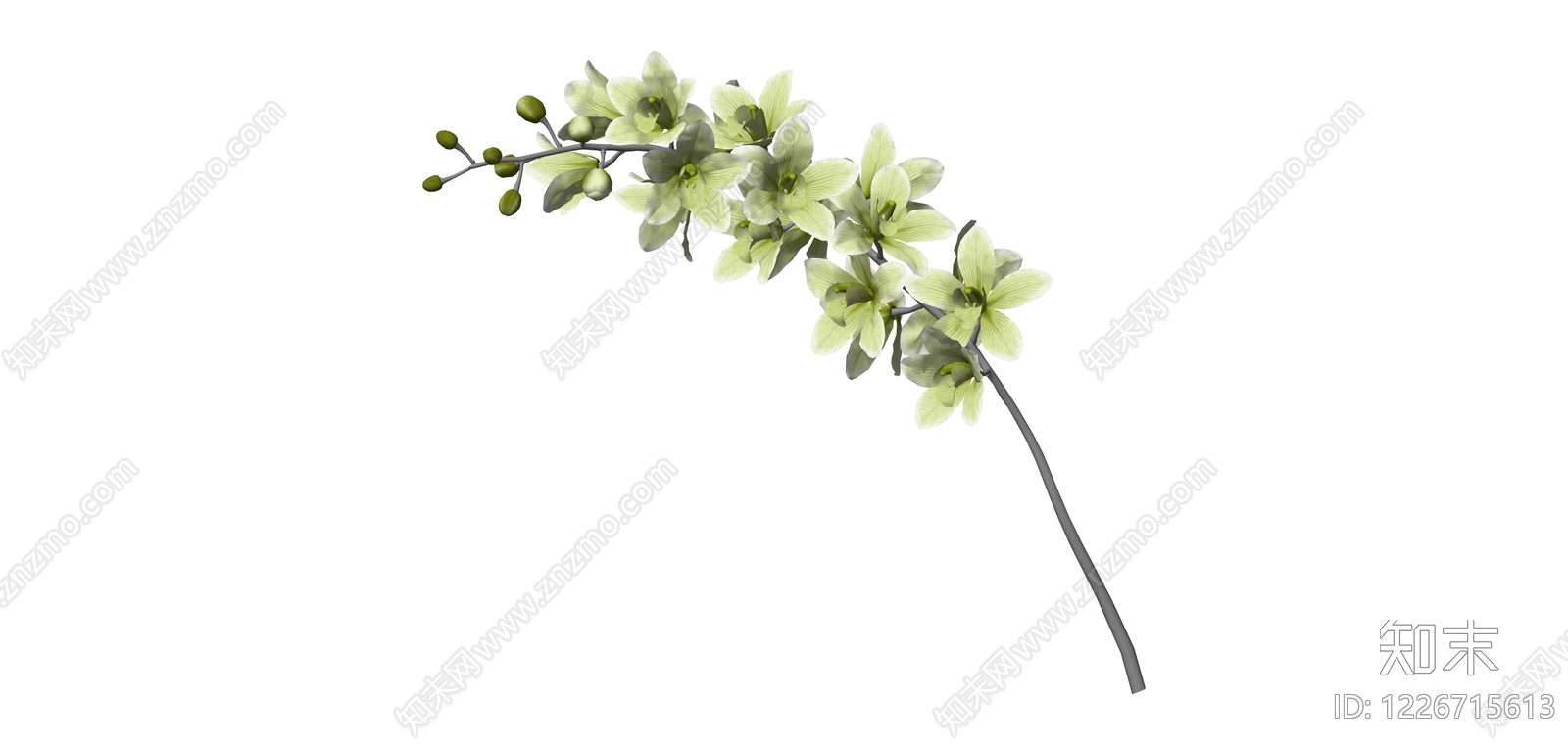 浅绿花艺植物枝条SU模型下载【ID:1226715613】