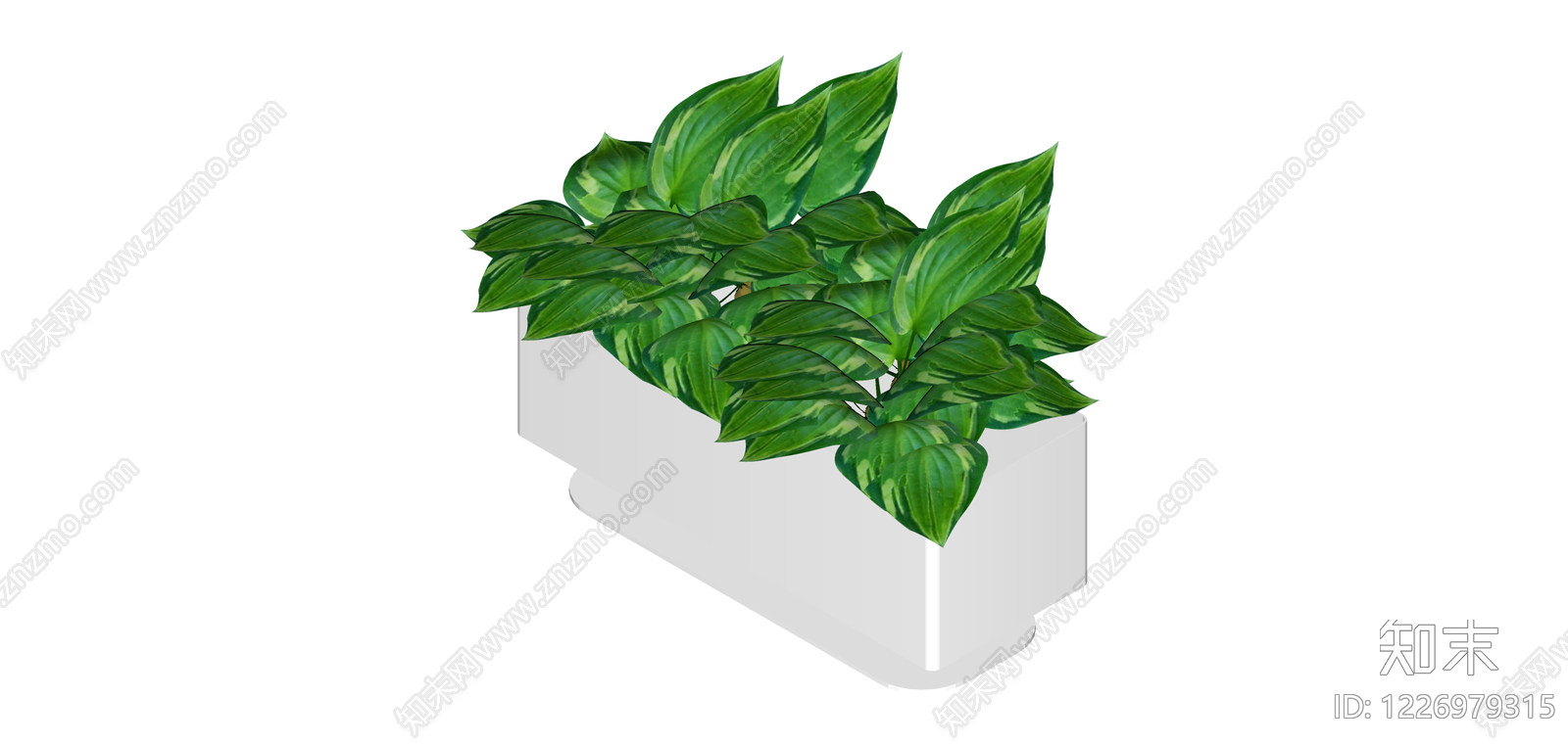 白模带盆绿植组合SU模型下载【ID:1226979315】