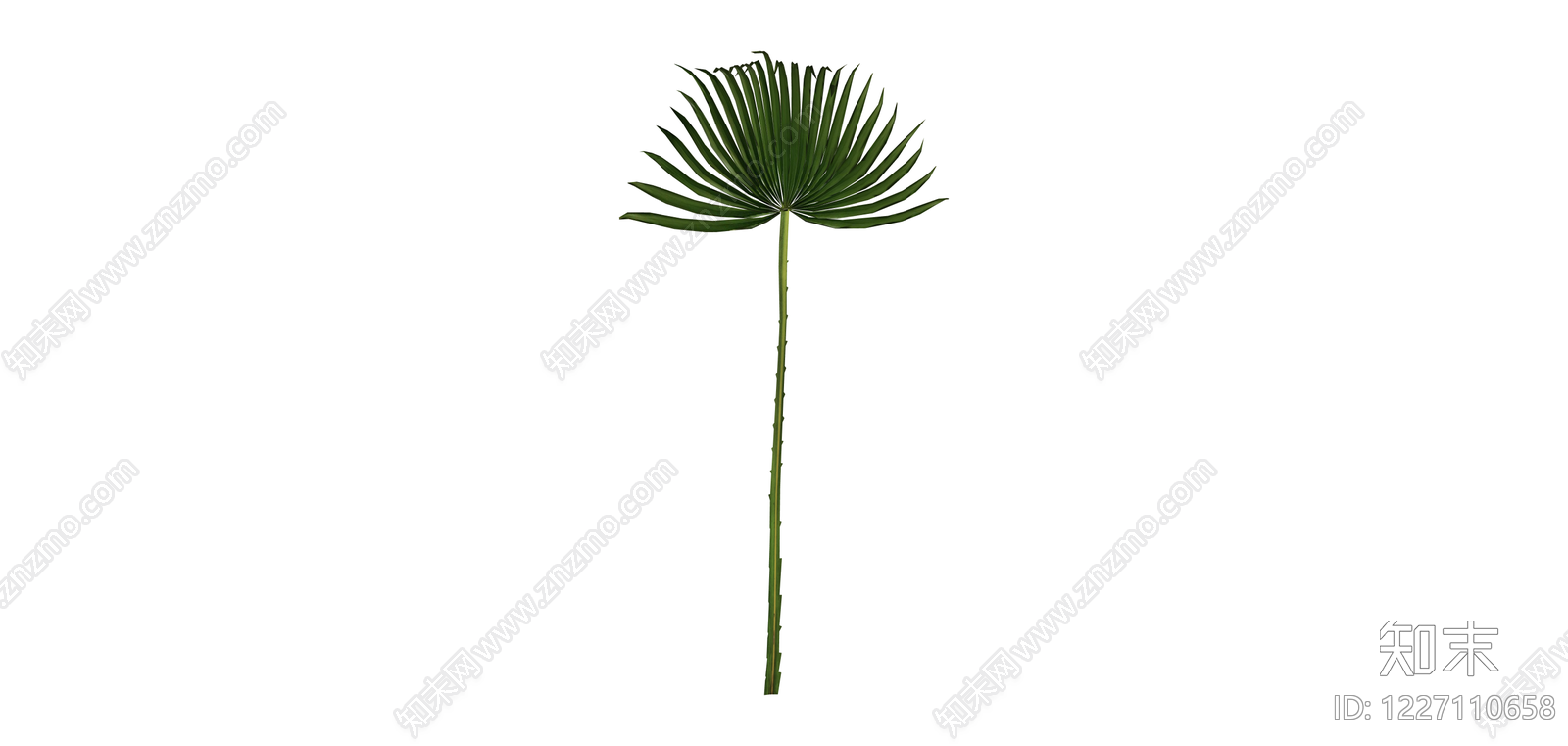 棕榈叶植物模型SU模型下载【ID:1227110658】