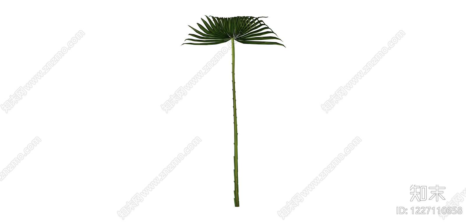 棕榈叶植物模型SU模型下载【ID:1227110658】