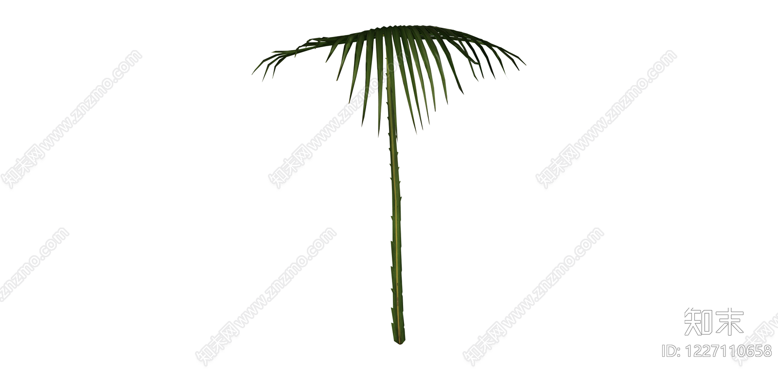 棕榈叶植物模型SU模型下载【ID:1227110658】