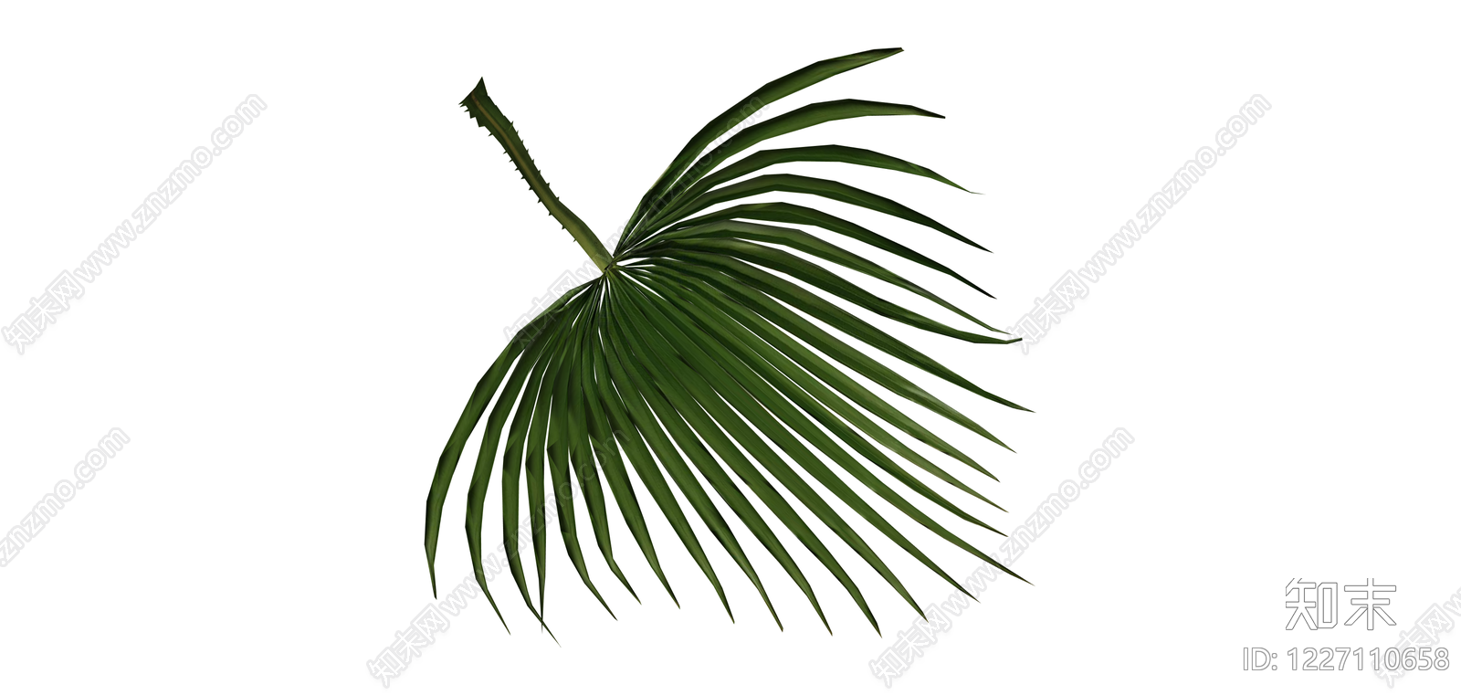 棕榈叶植物模型SU模型下载【ID:1227110658】