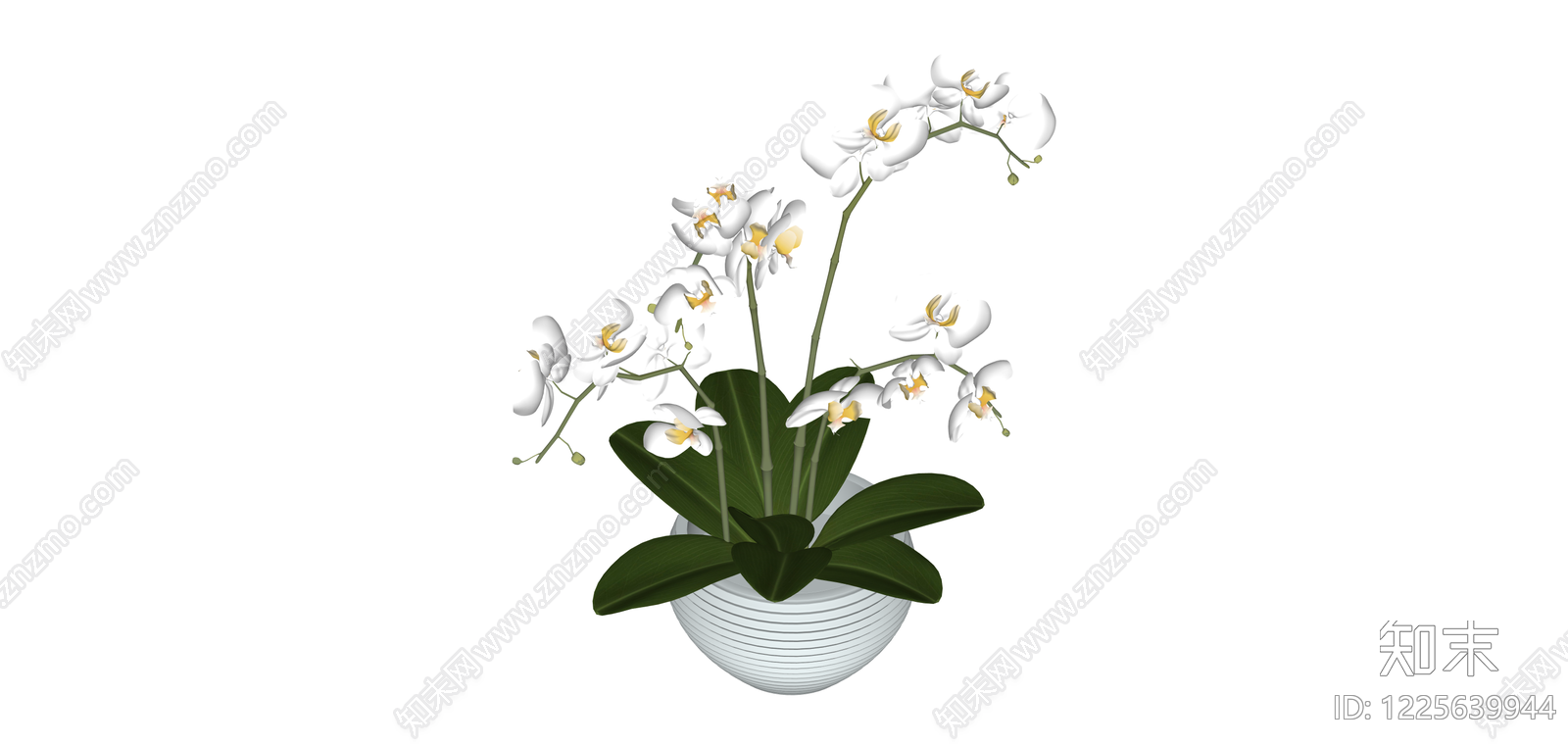 白盆白色蝴蝶兰盆栽SU模型下载【ID:1225639944】