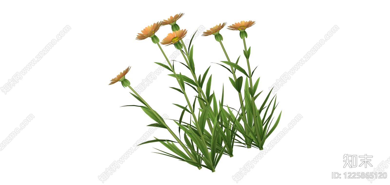 多株橙色雏菊绿植组合SU模型下载【ID:1225865120】